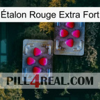 Étalon Rouge Extra Fort 15